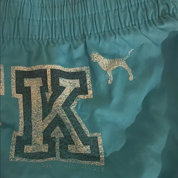 Blue PINK Logo Shorts - Picture 3 of 7